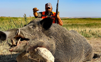 AV TURU (YABAN DOMUZU AVI )