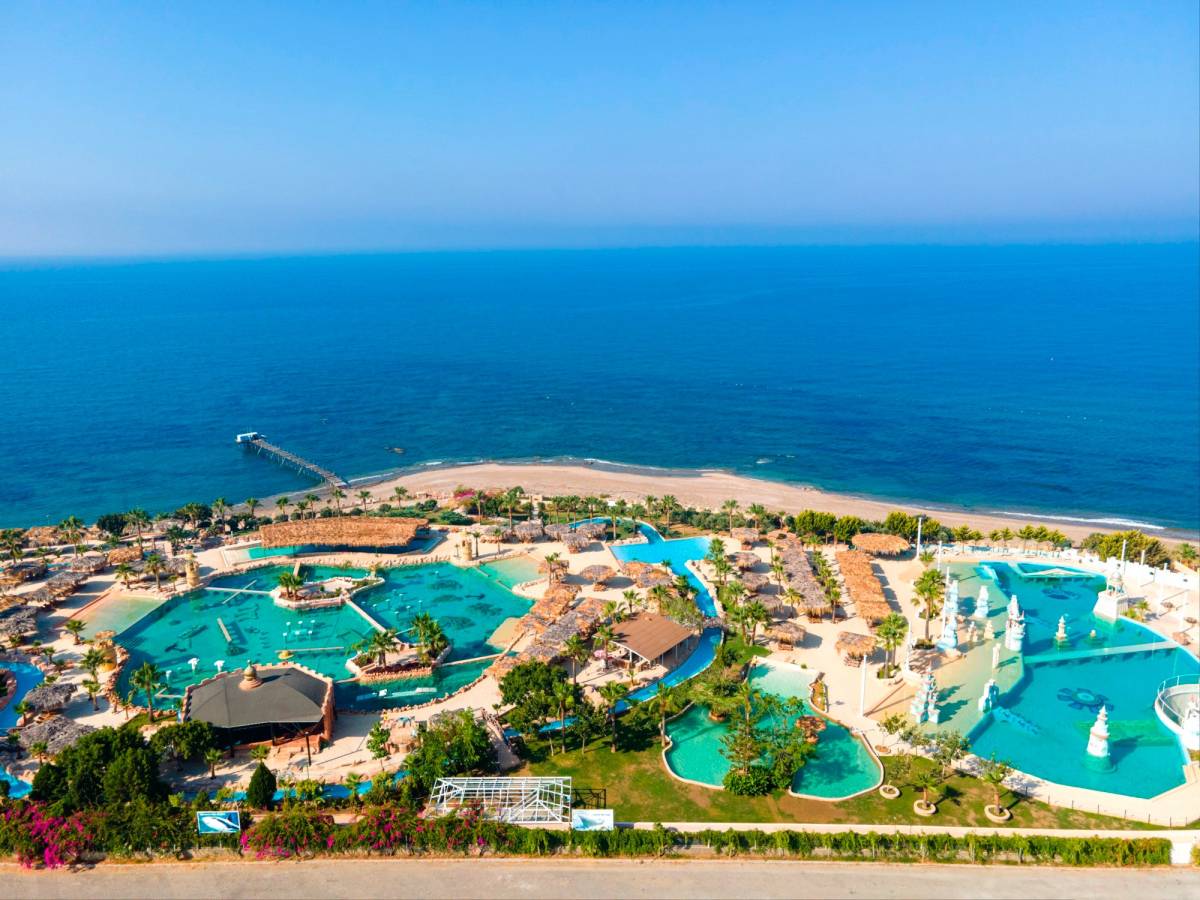 DOLPHING SHOW ,YUNUS GÖSTERİSİ , DENİZ ASLANI SHOWU