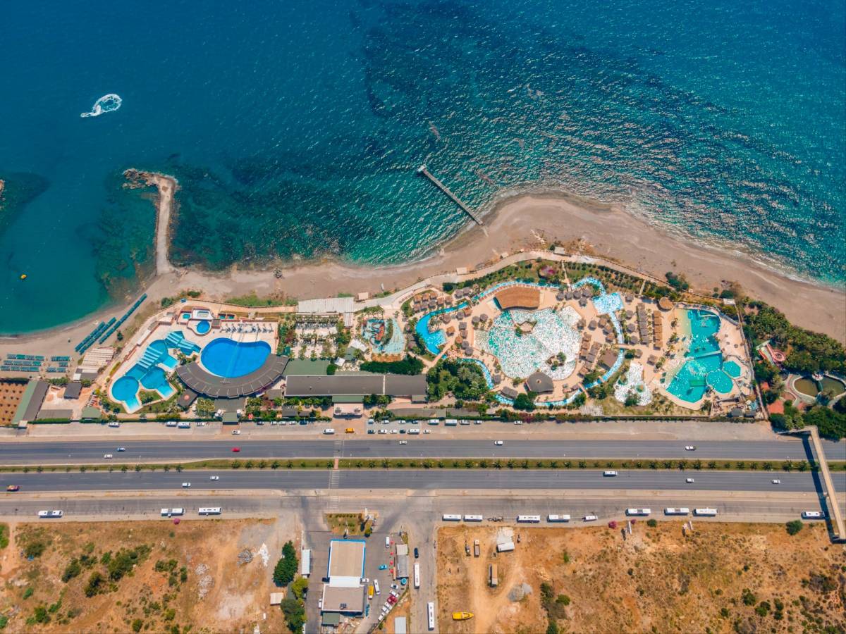 DOLPHING SHOW ,YUNUS GÖSTERİSİ , DENİZ ASLANI SHOWU