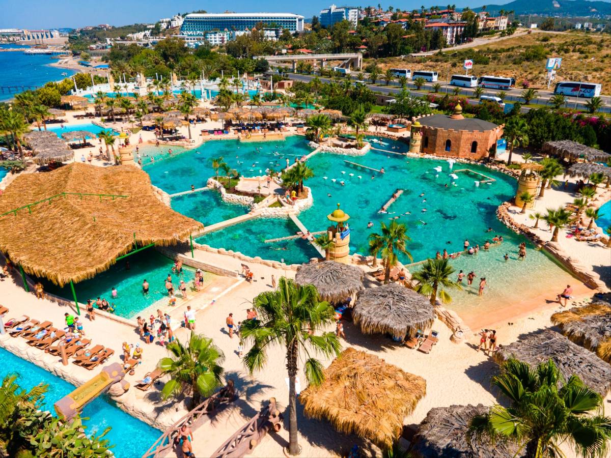 DOLPHING SHOW ,YUNUS GÖSTERİSİ , DENİZ ASLANI SHOWU